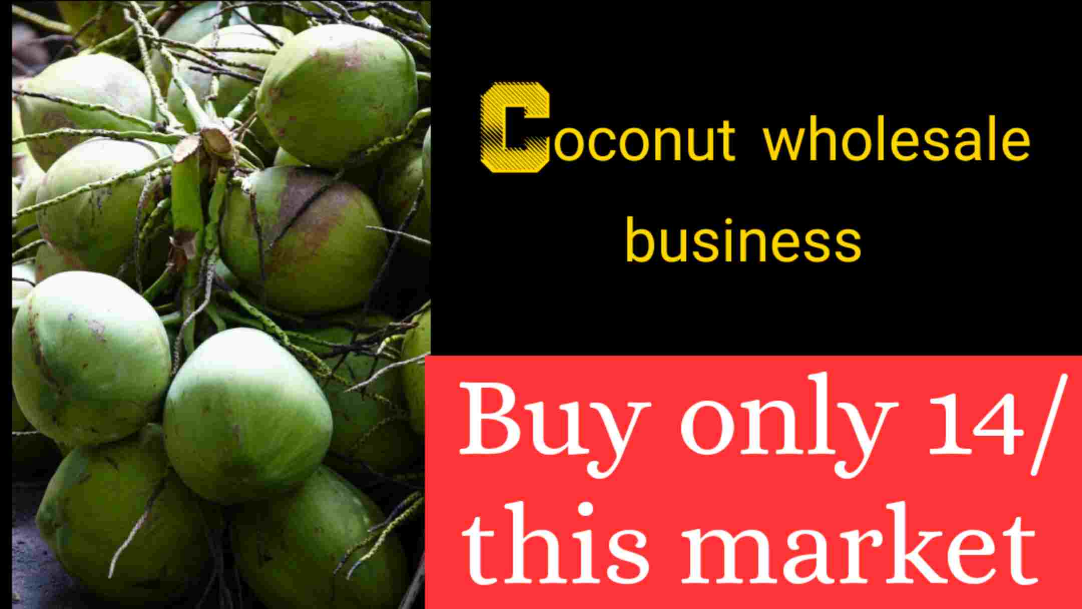 How To Start Coconut Wholesale Business? Nariyal wholesale business/