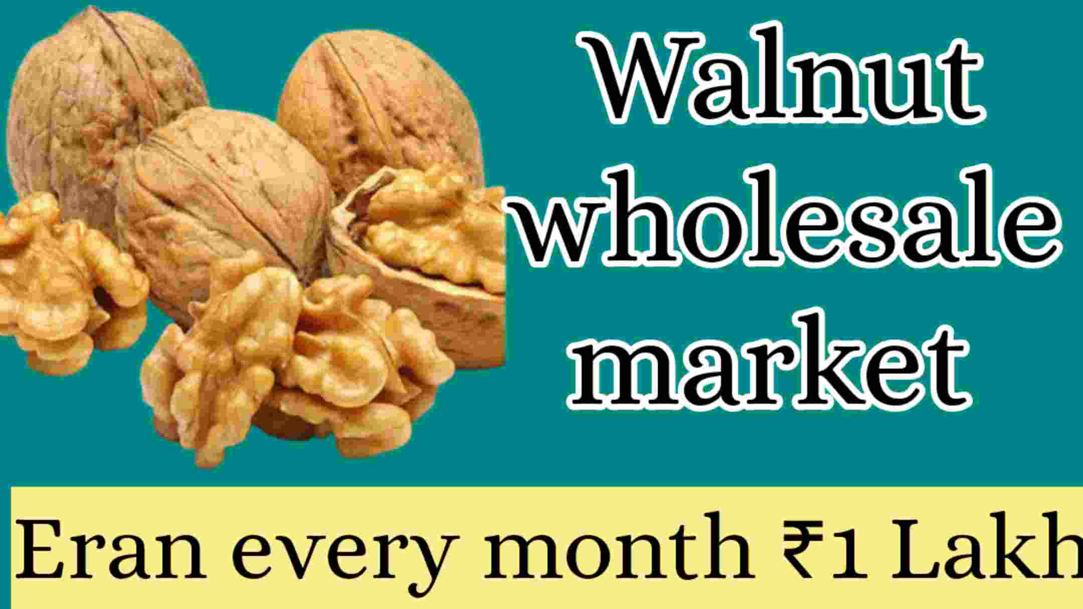 how to start walnut business/ Walnut Wholesale Market/