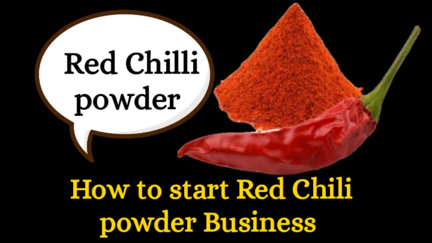 Chilli Powder Wholesale business & wholesale market