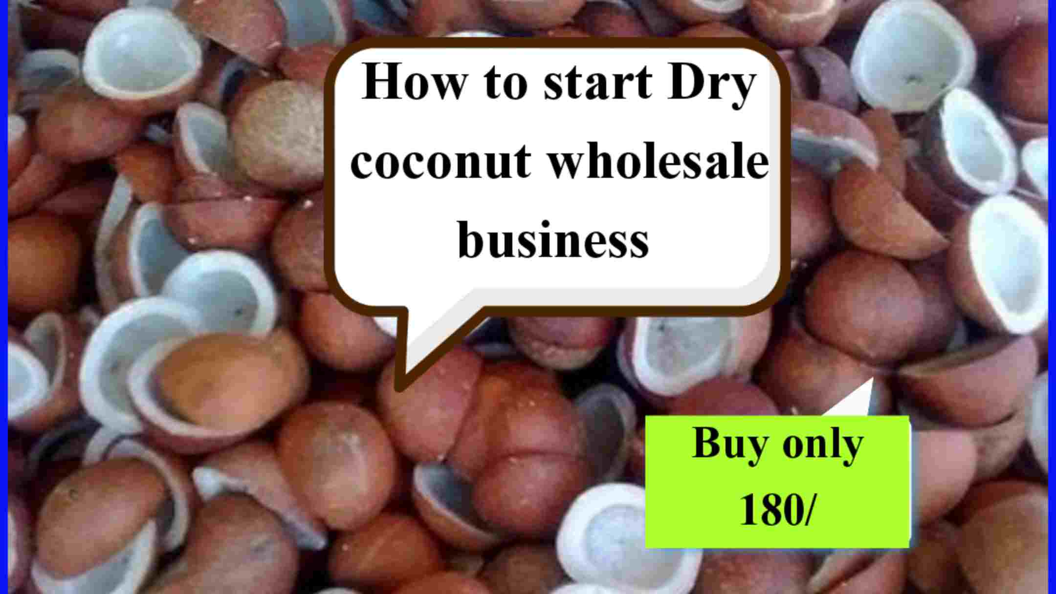 Dry Coconut Wholesale Business & Wholesaler/