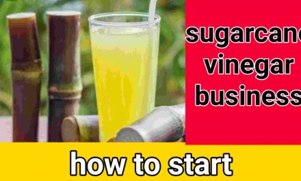 Vinegar Wholesale Business how to start |
